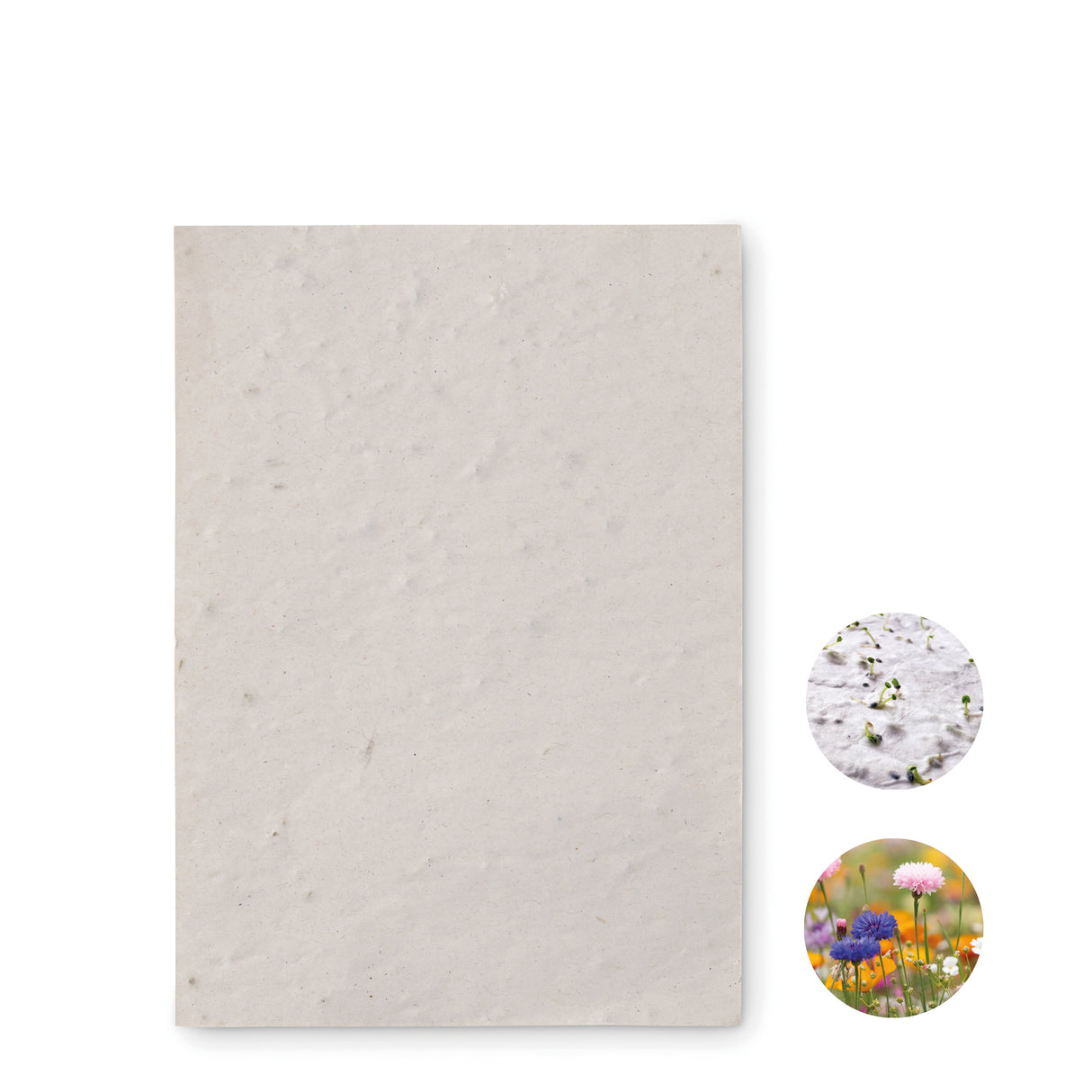 Papier A6 graines de fleurs ASIDO personnalisable-0