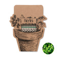 Bâtons de graines d'herbes LEYTI personnalisable-0