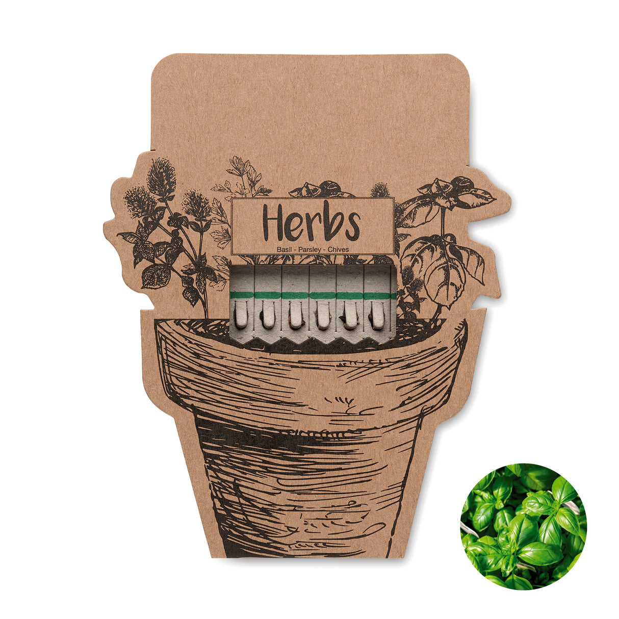 Bâtons de graines d'herbes LEYTI personnalisable-0