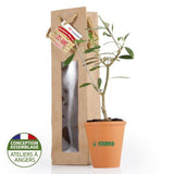 Plant Dolivier En Pot Terre Et Sac Prestige Kraft Personnalisable Plantes Publicitaires