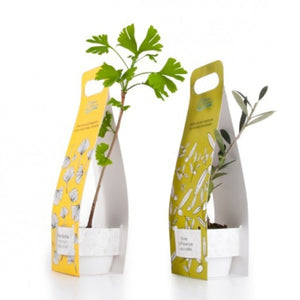 Plant Dolivier En Sacoche Quadri Personnalisable Plantes Publicitaires