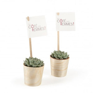Plante Grasse En Pot Feuille Bois De Hêtre Personnalisable Plantes Publicitaires