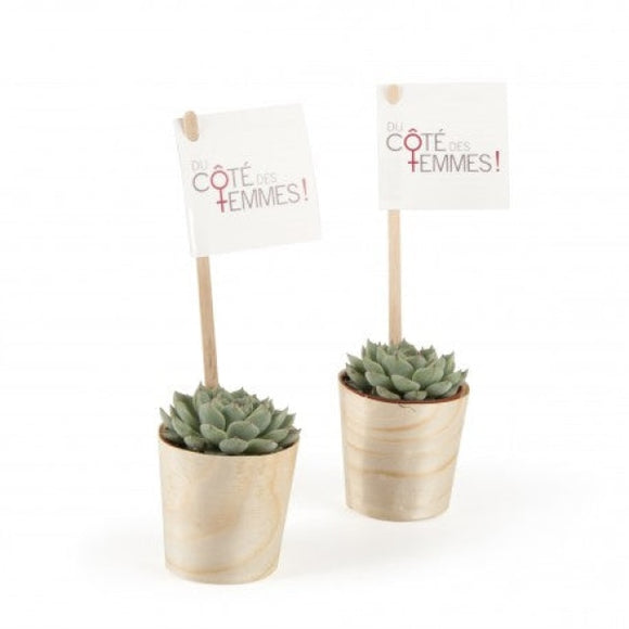 Plante Grasse En Pot Feuille Bois De Hêtre Personnalisable Plantes Publicitaires