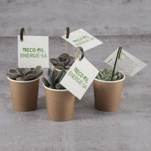 Plante Grasse En Pot Gobelet Carton Personnalisable Plantes Publicitaires