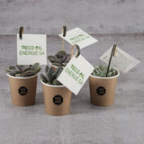 Plante Grasse En Pot Gobelet Carton Personnalisable Plantes Publicitaires