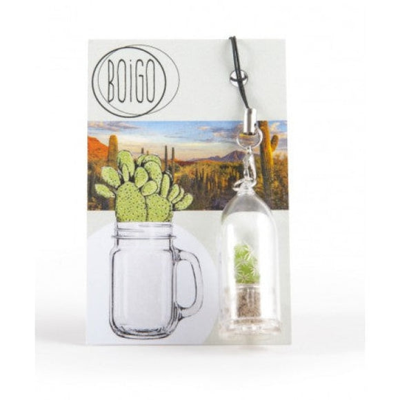 Porte-Clé Serre Cactus Ou Succulente Personnalisable Plantes Publicitaires