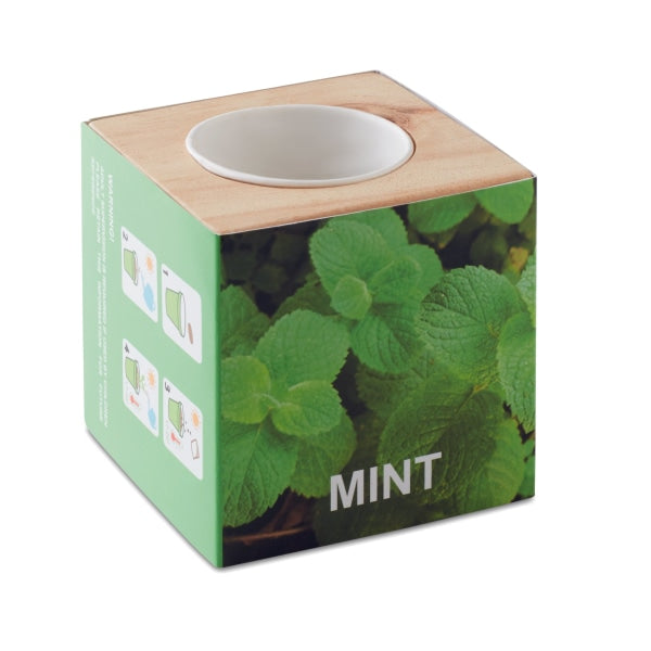 Pot En Bois Avec Graine Menthe Menta Personnalisable Brown Plein Air