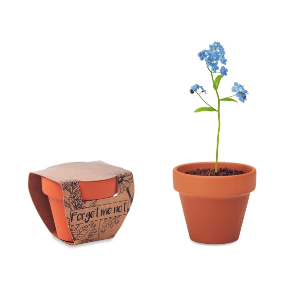 Pot Graines De Myosotis Forget Me Not Personnalisable Brown Plein Air
