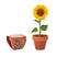Pot Graines De Tournesol Sunflower Personnalisable Brown Plein Air