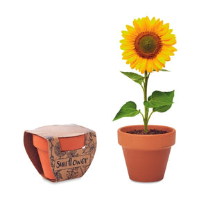 Pot Graines De Tournesol Sunflower Personnalisable Brown Plein Air