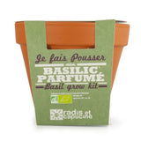 Pot Terre Cuite Basalte 13Cm Basilic Grand Vert Bio Personnalisable Plantes Publicitaires