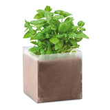 Substrat Avec Graines Basilic. Basil Personnalisable Beige Plein Air