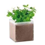 Substrat Avec Graines Menthe Mint Personnalisable Beige Plein Air