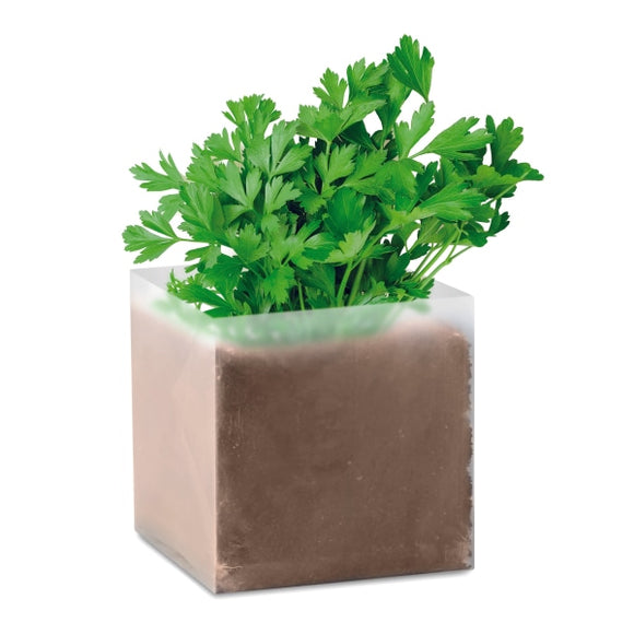 Substrat Avec Graines Persil Parsely Personnalisable Beige Plein Air