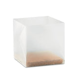Substrat Avec Graines Persil Parsely Personnalisable Plein Air