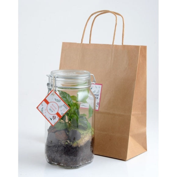 Terrarium Caféier 1 5 L Personnalisable Plantes Publicitaires