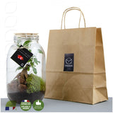 Terrarium Ficus Ginseng 3L Personnalisable Plantes Publicitaires