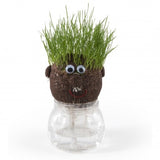 Tête À Pousser Avec Cheveux Gazon Personnalisable Plantes Publicitaires